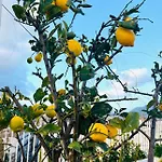 Lealbe Di Sicilia לינה וארוחת בוקר פלרמו