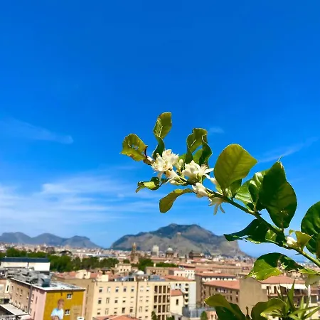 Bed and Breakfast Lealbe Di Sicilia Παλέρμο