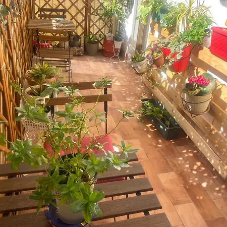 Lealbe Di Sicilia Bed and Breakfast