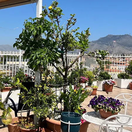 Lealbe Di Sicilia Palermo